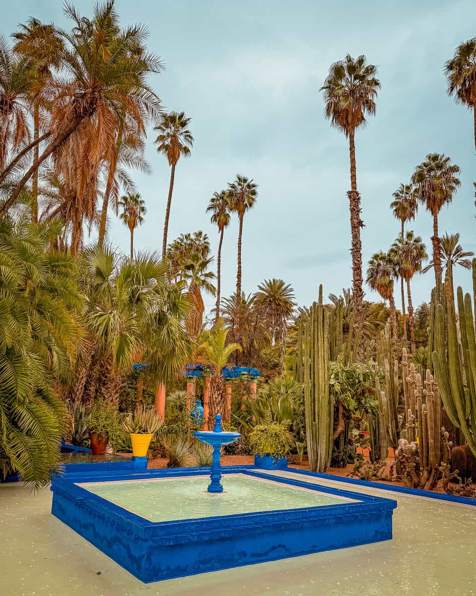 découvrez les jardins majorelle à marrakech, un havre de paix coloré et enchanteur. explorez la beauté des plantes exotiques, l'architecture inspirante de la villa, et l'histoire fascinante de ce site emblématique, autrefois propriété d'yves saint laurent. une expérience inoubliable au cœur de la culture marocaine.