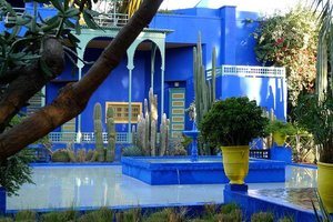 découvrez les jardins majorelle à marrakech, un havre de paix vibrant de couleurs et de biodiversité. explorez cet écrin de verdure, unique refuge d'art et de culture, conçu par le peintre jacques majorelle. plongez dans l'univers enchanteur de cette oasis avec ses plantes exotiques et son ambiance paisible.
