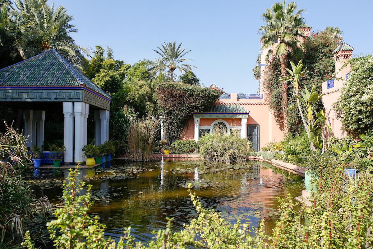 découvrez les jardins majorelle à marrakech, un oasis de paix au cœur de la ville, mêlant art, botanique et histoire. explorez ses magnifiques plantes exotiques, ses couleurs vibrantes et l'héritage de l'artiste yves saint laurent dans ce havre de beauté incontournable.