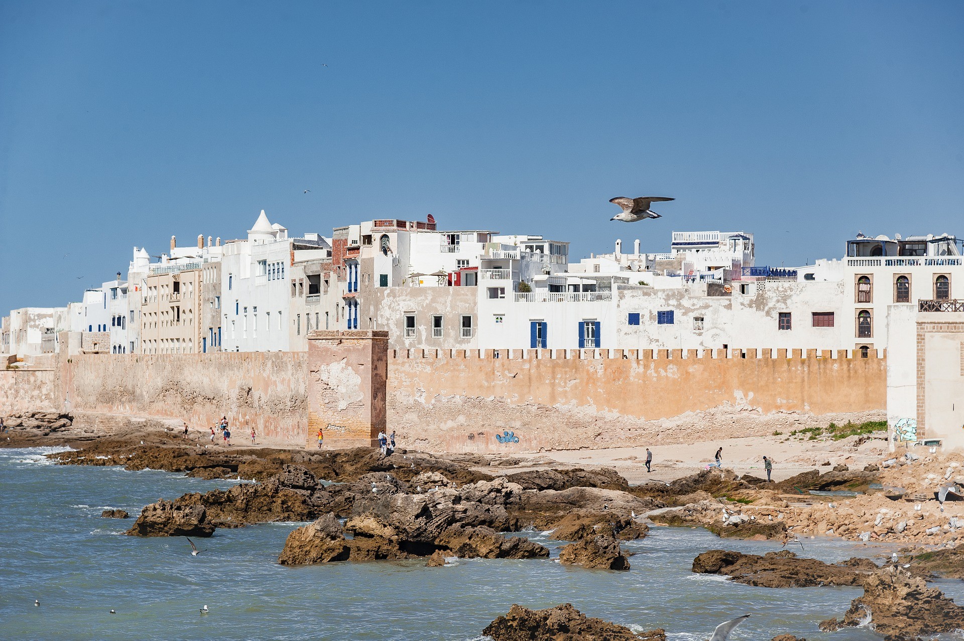 découvrez les raisons captivantes d'explorer essaouira, une ville côtière marocaine riche en histoire, culture et paysages enchanteurs. profitez de ses plages, ses médinas colorées et sa gastronomie locale unique qui sauront séduire tous les voyageurs.
