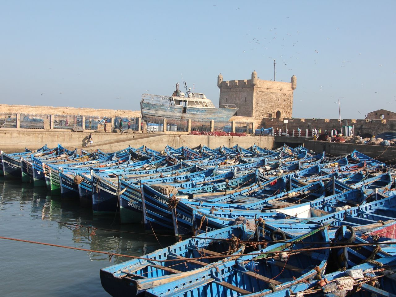 découvrez les raisons incontournables d'explorer essaouira, la perle du maroc, où l'histoire rencontre la mer. plongez dans son atmosphère envoûtante, ses plages magnifiques, sa médina classée au patrimoine mondial et sa riche culture artistique.